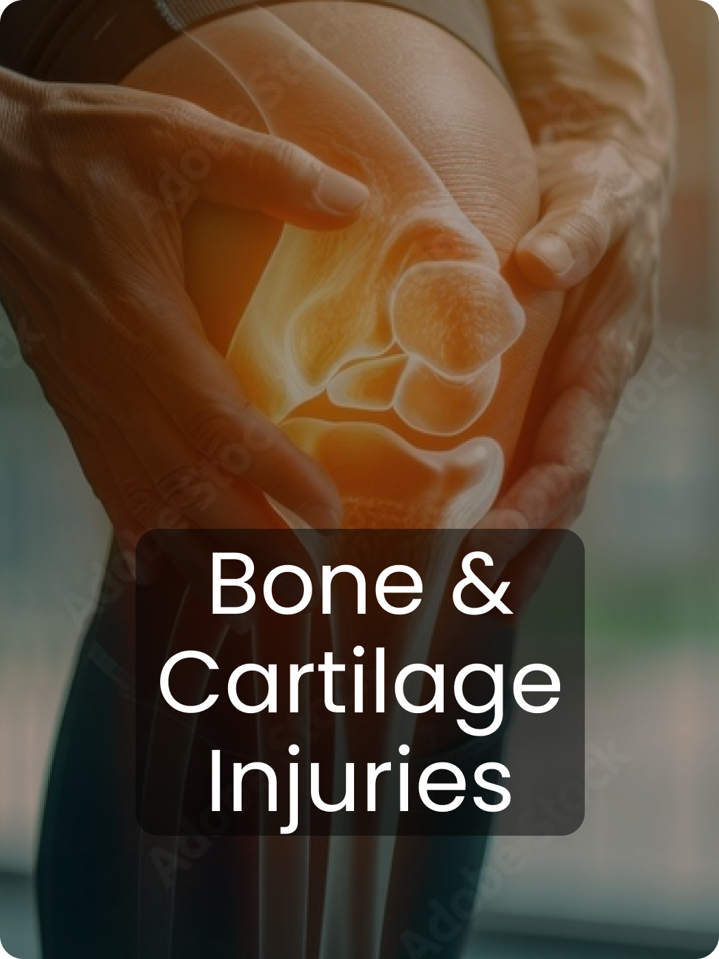 Bone & Cartilage Injuries